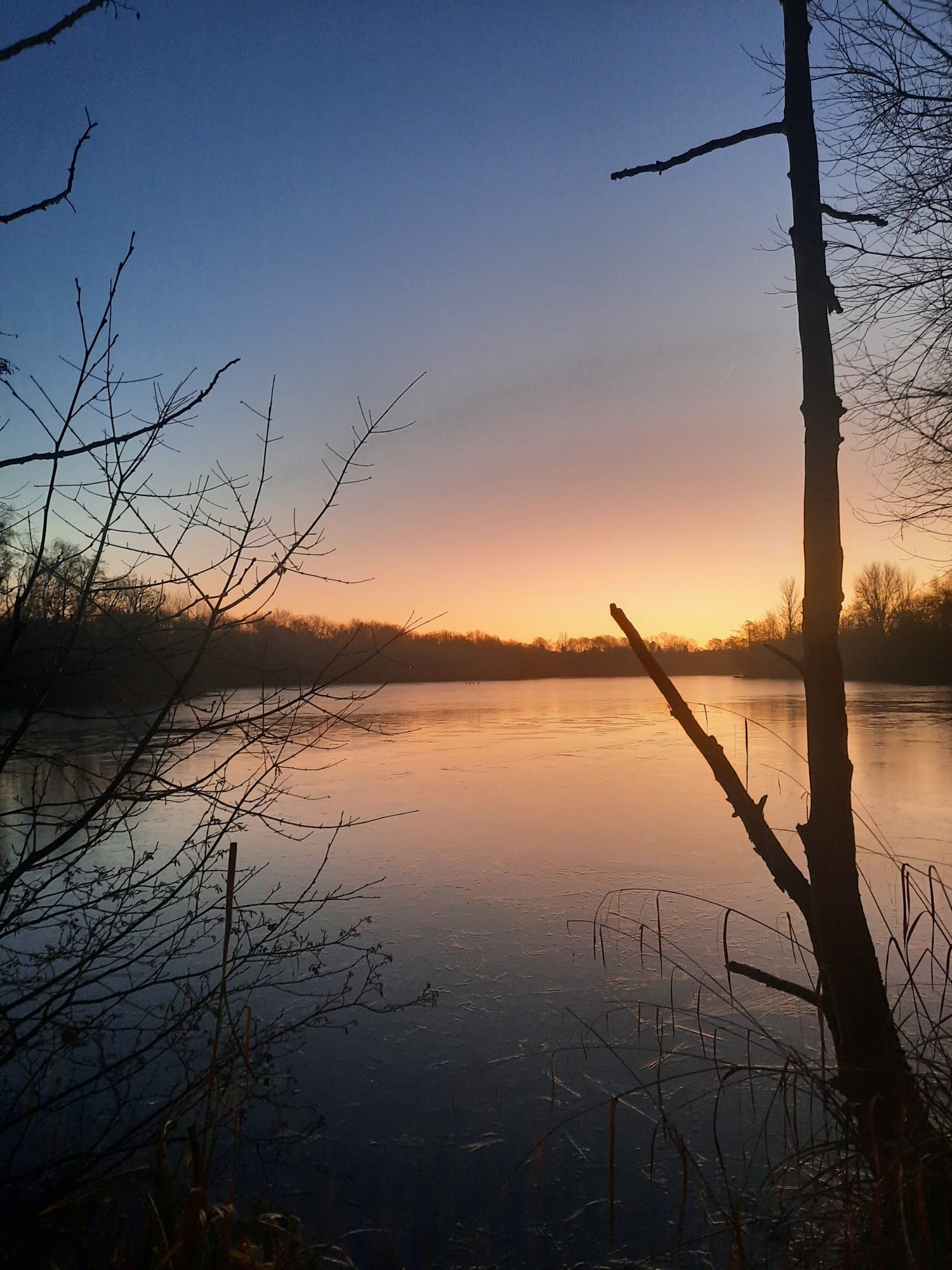Outdoor counselling session at Chorlton Water Park, South Manchester